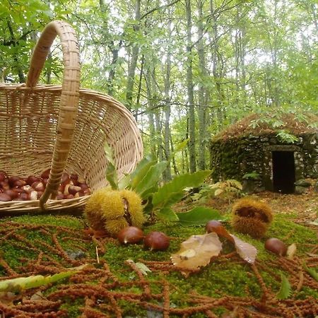 Casa Rural Margarita I Montánchez Exteriér fotografie