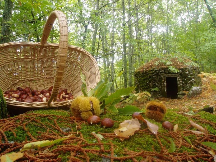 Casa Rural Margarita I Montánchez Exteriér fotografie